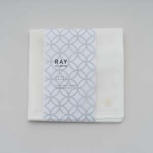 Japanese Cloths Towels: Beige Ray Dishcloth