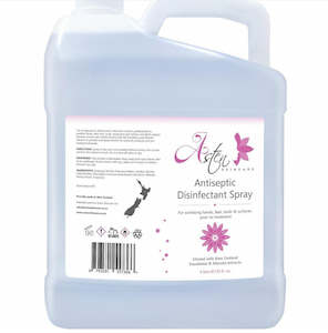 Salon Safety: Asten Disinfectant Spray - 4L