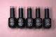 Rubber Base + Builder Gel Course - In Person Training