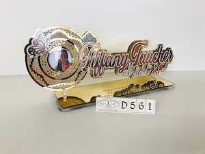 Vip: D561 Golden Acrylic  Mirror Key
