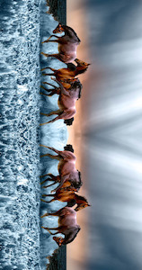 Australian Coastal Cotton Designer Sarong