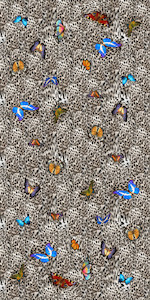 Australian Coastal Cotton Designer Sarong