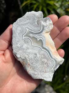 Crazy Lace Agate Slice, Mexican
