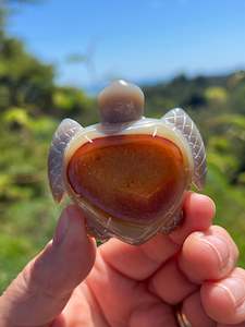 Agate: Agate Geode Turtle
