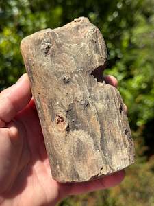 Home Decor: Petrified Wood, whole piece