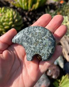 Jasper: Kambaba Jasper Zuni Bear