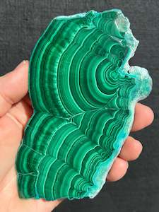 Malachite: Malacholla Malachite with Chrysocolla Slice