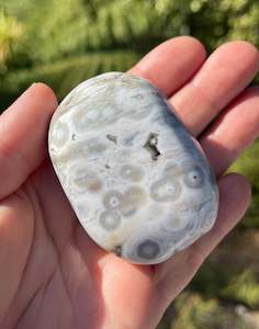Orbicular Ocean Jasper Palm Stone