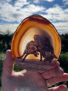 Agate Slice, Painted