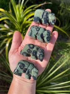 Animal Carvings: Kambaba Jasper Bear
