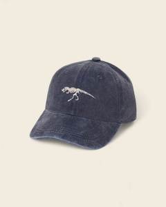 Hats: T-Rex Personalised Hat