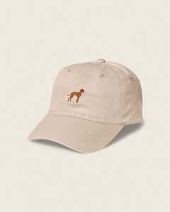 Dog Hats: Vizsla Personalised Hat