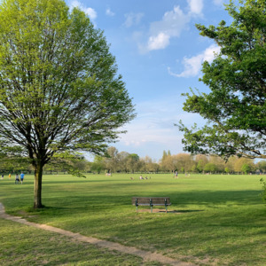 Products: Asset Management for Parks and Outdoor Spaces - Āpōpō