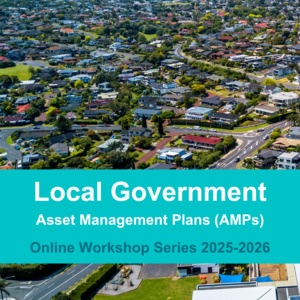 Products: Local Government Online Series - AMPs: Financials Asset Re-Valuations - Āpōpō