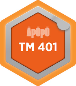 Products: TM 401 - Traffic Estimation and Strategy - Āpōpō