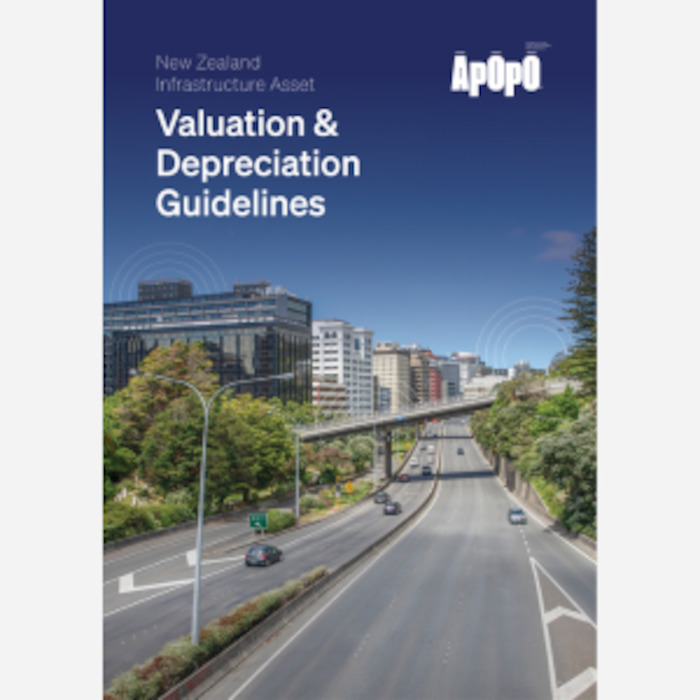 Infrastructure Asset Valuation and Depreciation Guidelines - 2025 edition