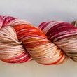 Hand Painted Super Fine Merino - 8ply 100gm