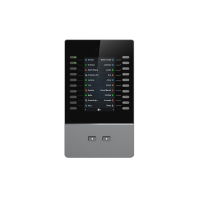 NanoByte Solutions (NZ) Grandstream Networks GBX20 caller ID display Grey