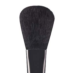 POWDER BRUSH PD2