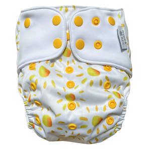 Pocket Nappies: River & Bee 2.0