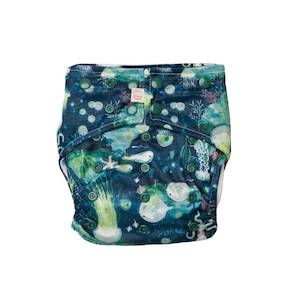 Pocket Nappies: Nestling Sassy Snaps Nappy