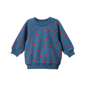 Jumpers Cardigans: Nature Baby - Emerson Sweater - Raspberry Blue
