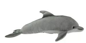 Products: Bottlenose Dolphin