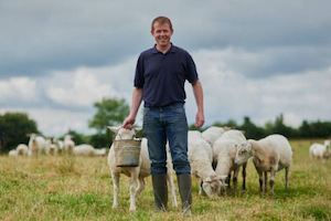 4784 Mens Authentic Blues Jeans - Natsons