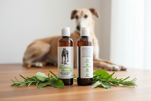The Dashing Hound Shampoo - Rosemary
