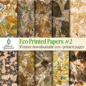 Products: 10 more eco dyed botanical prints - Natural Expressions