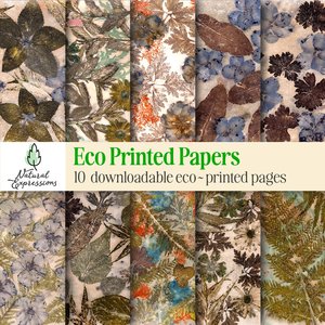 Products: 10 eco dyed botanical prints - Natural Expressions