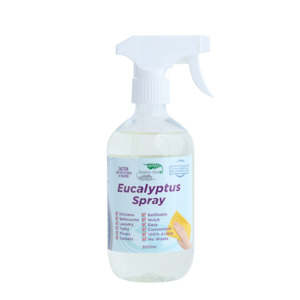 House Hold Cleas: Eucalyptus Spray