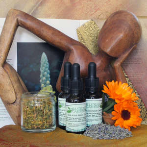 Ear Health: Millstream Earache Relief drops 20ml