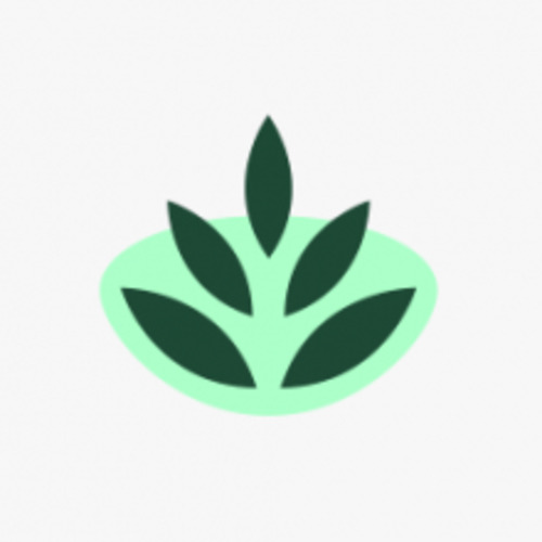 First Aid: Arnica 200c pills 12gm