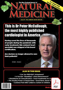 The New Zealand Journal of Natural Medicine: Issue 47 Ebook - Natural Medicine