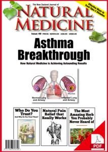 The New Zealand Journal of Natural Medicine: Issue 49 Ebook - Natural Medicine