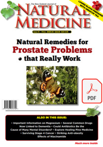 The New Zealand Journal of Natural Medicine: Issue 51 Ebook - Natural Medicine