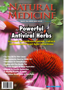 The New Zealand Journal of Natural Medicine: Issue 42 Ebook - Natural Medicine
