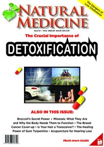 The New Zealand Journal of Natural Medicine: Issue 54 Ebook - Natural Medicine