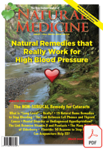 The New Zealand Journal of Natural Medicine: Issue 55 Ebook - Natural Medicine