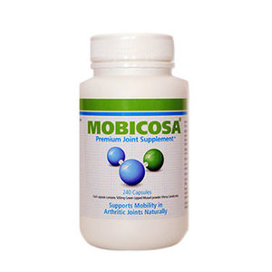 Dogs: Mobicosa® 240 x 500mg capsules