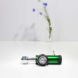 Products: Low Flow Industrial Oxygen Tank Regulator - North America