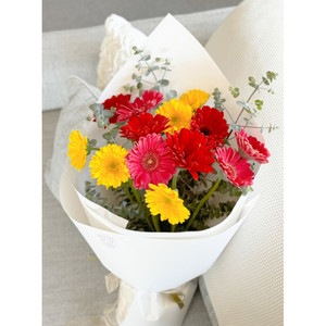 Products: Gerbera Brights