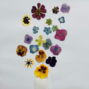 Build Your Own Box: Pressed Flowers