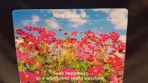General Souvenirs: NZ Pink Wildflower Fridge Magnets