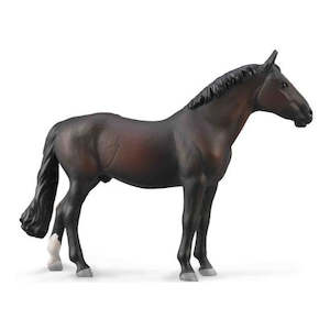 Science Biology Animals: Holsteiner Stallion - Bay XL