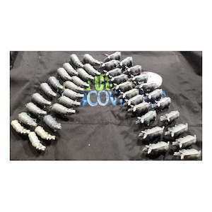 Science Biology Animals: Zoo Babies Rhinos and Hippos