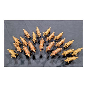 Science Biology Animals: Farm Animals Asst