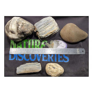 Science Earth Science: Asst Large Rocks