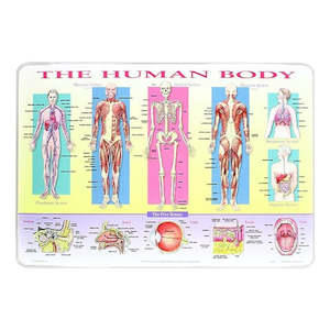 Ages 2: Placemat:Body